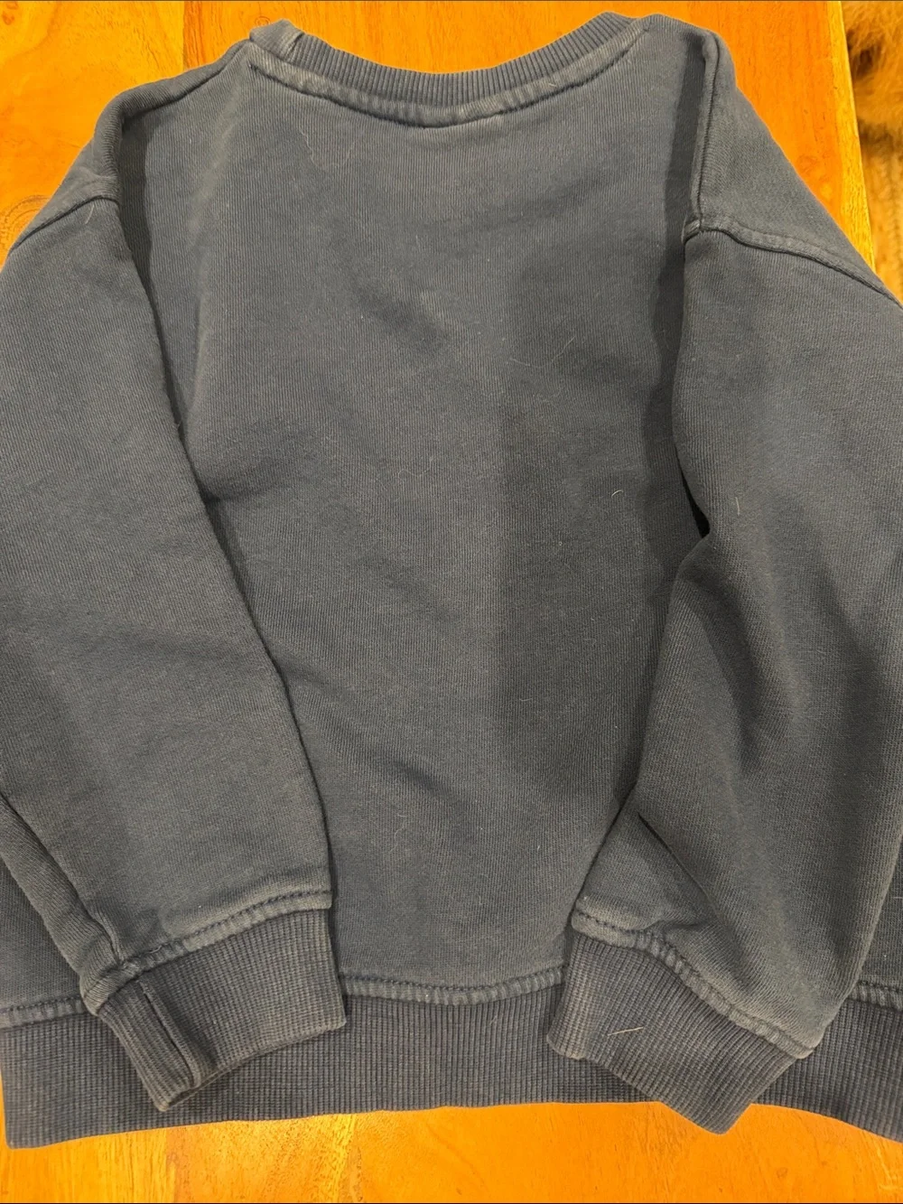 NWOT Zara Crewneck Sweatshirt